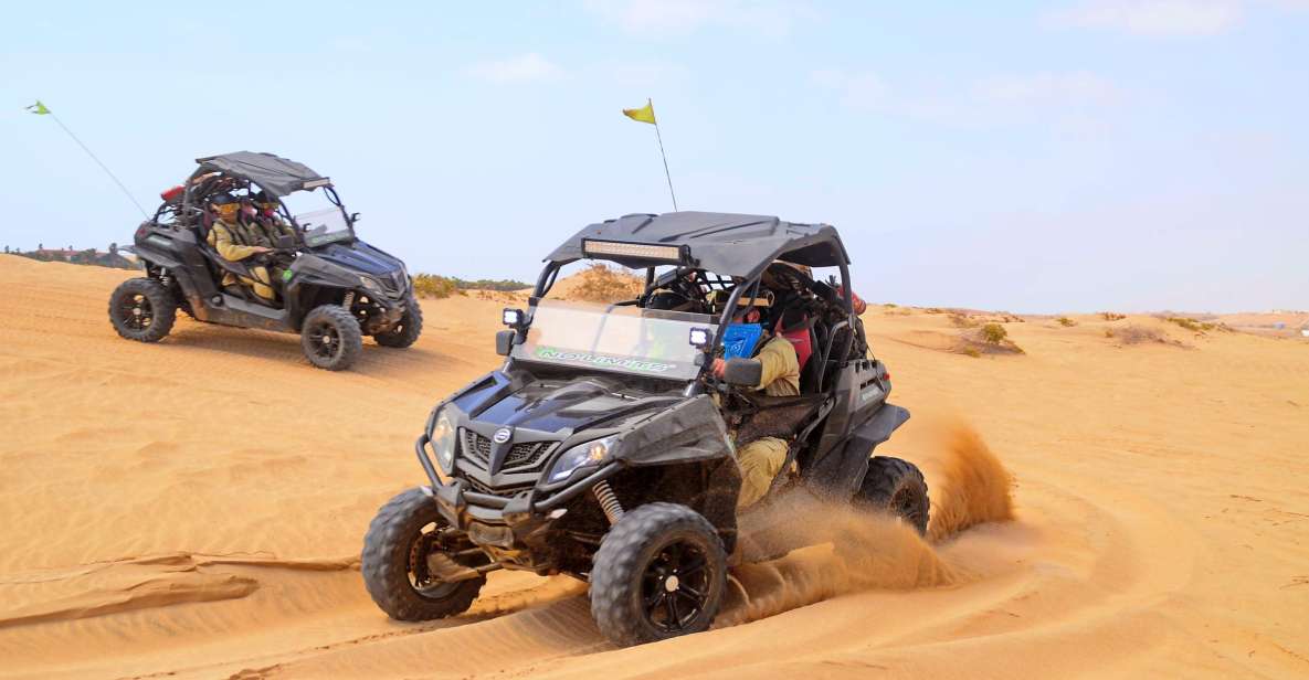 Santa Maria: Desert Adventure on a 500cc or 1000cc Buggy - Tour Experience and Highlights