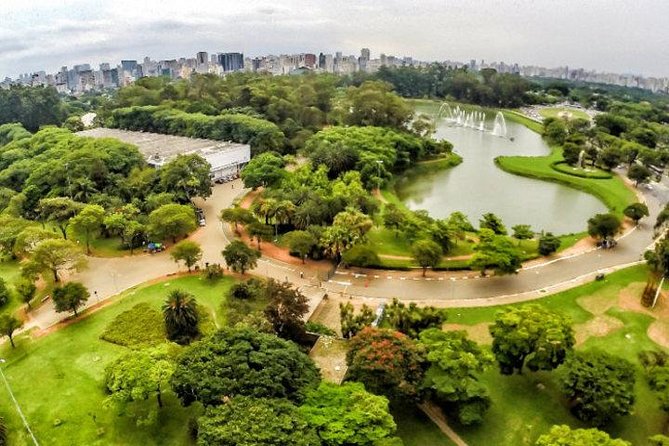 São Paulo Major Tourist Attractions Private Tour: 8-Hour (Santos City Pick-up) - Customer Experience and Feedback