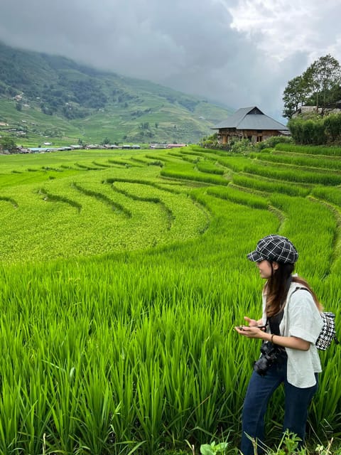 SAPA 1 DAY- Easy Trek - Through Rice Terraced Fields - Itinerary Highlights