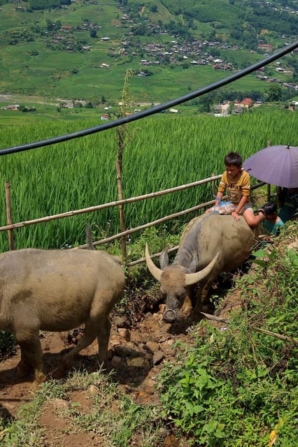 Sapa : 2 Day 1 Night Trekking With La La and Su Family - Detailed Itinerary