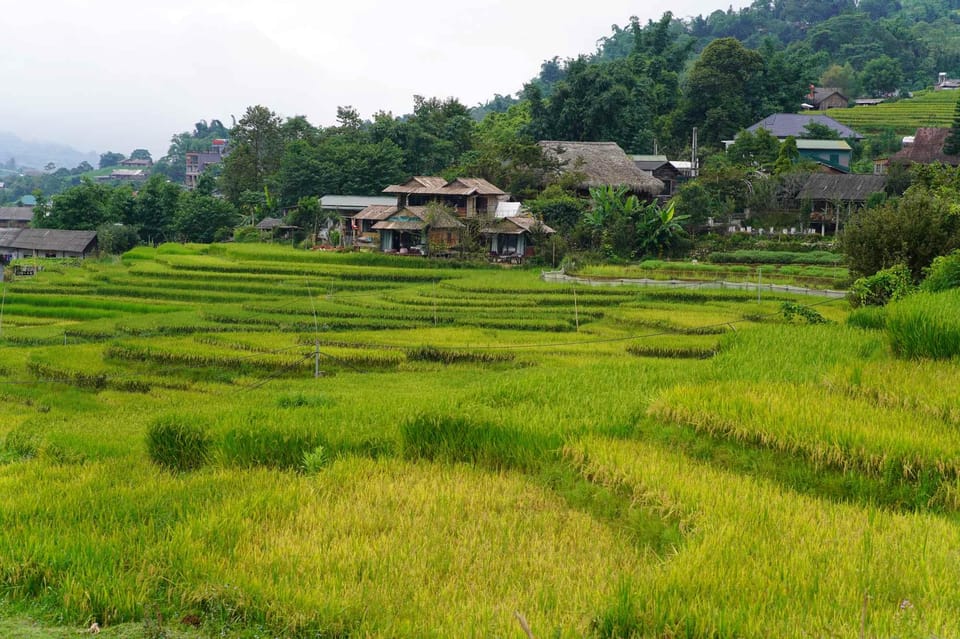 Sapa 2 Days 1 Night Overnight at Homestay With Local People - Itinerary Details