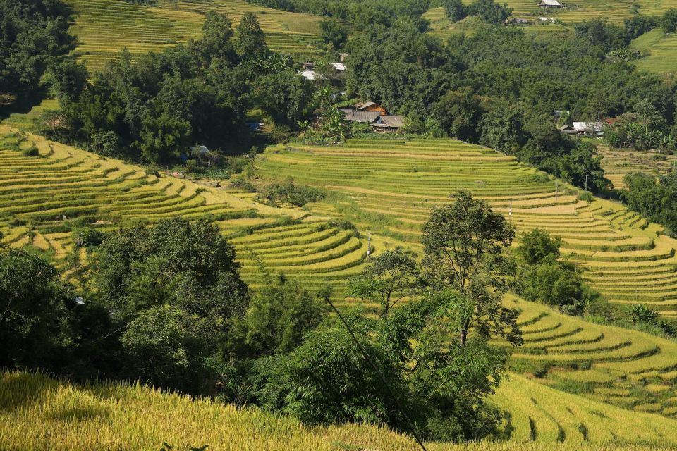 Sapa Daily Trip: Easy Trekking and Hotel 2 Days 1 Night - Detailed Itinerary