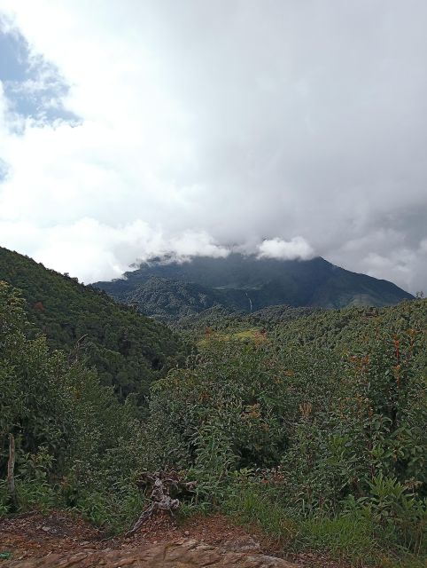 Sapa: Fansipan 2D1N With Local Experts - Experience Highlights