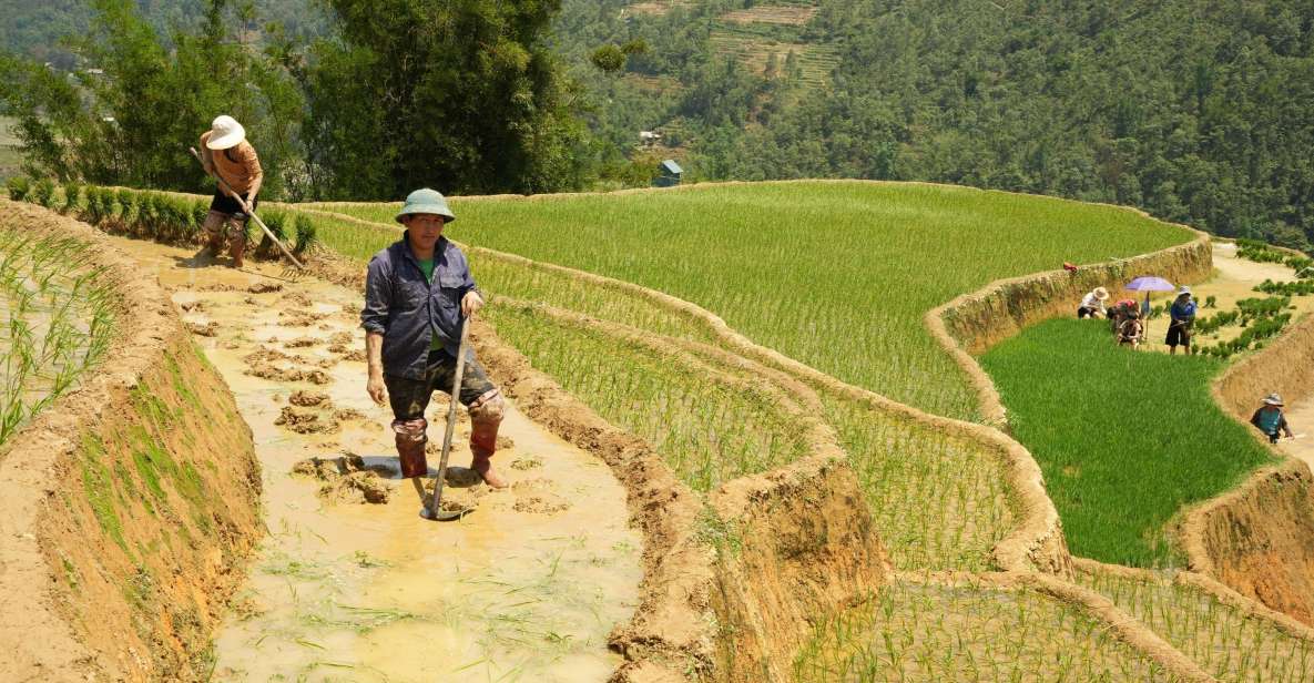 Sapa Hard Trekking Villages and Homestay 2 Days 1 Night Trip - Detailed Itinerary