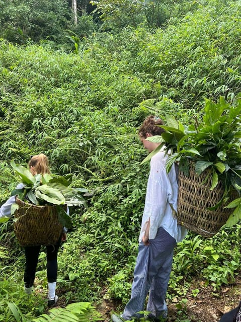 Sapa: Real Local Life of Dao People: Herbal Bath, Local Food - Journey to Ta Phin Village