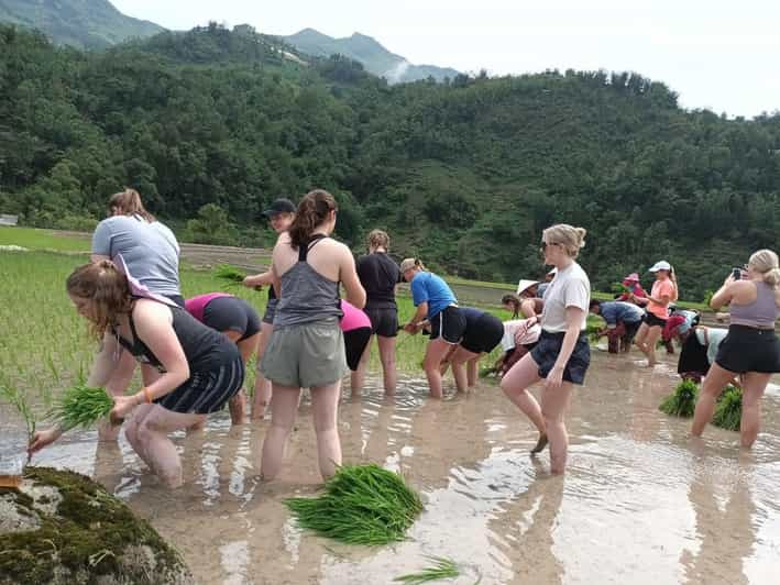 Sapa: Trekking 2 Days 1 Night in Homestay - Trekking Route Details