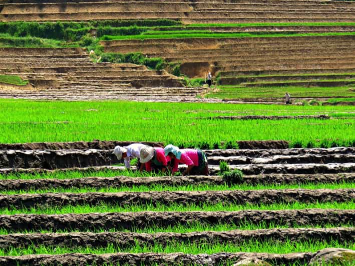 Sapa Trekking (Muon Hoa) 2 Days – 1 Night - Guided Trekking Adventure