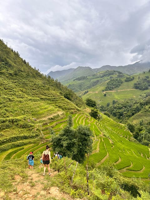 SAPA TREKKING, RICE FIELDS, LOCAL VILLAGES, BAMBOO FOREST - Highlights of the Itinerary