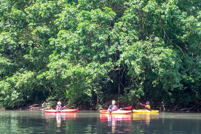 Sarapiquí River Jungle Kayak Tour - Meeting and Logistics