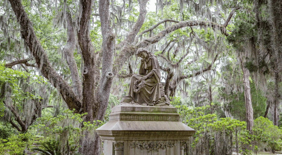 Savannah: Best of the City Tour With Wormsloe Historic Site - Discovering Isle of Hope