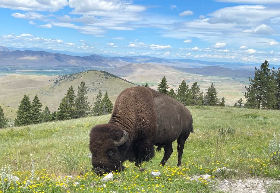 Scenic Driving Tour Flathead Lake and Bison Range - Highlights of the Experience