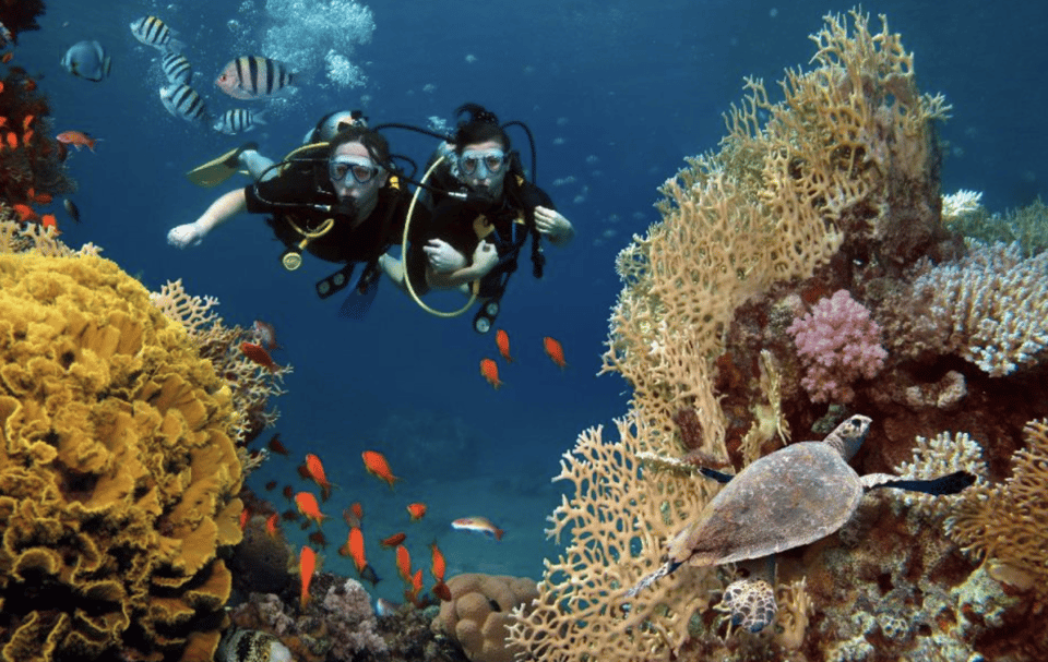 Scuba Dive in Big Wall (Vietnam) - Inclusions