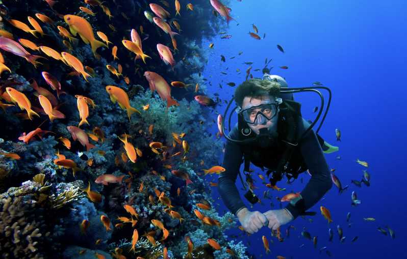 Scuba Dive in Blue Corner - Booking Your Dive Experience