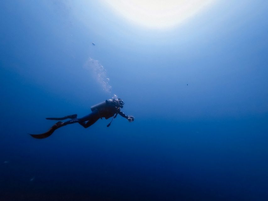 Scuba Diving at Dusk in Unawatuna - Pricing and Booking