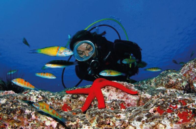 Scuba Diving Baptism in Caleta De Fuste - Booking Information