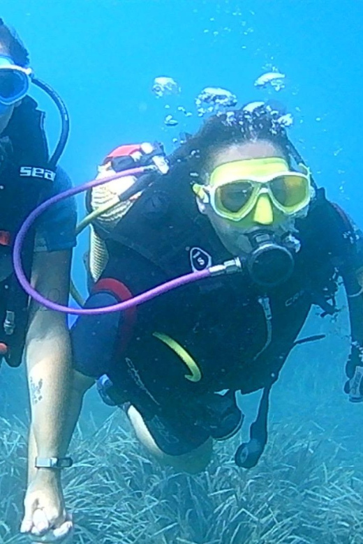Scuba Diving Course - Course Structure