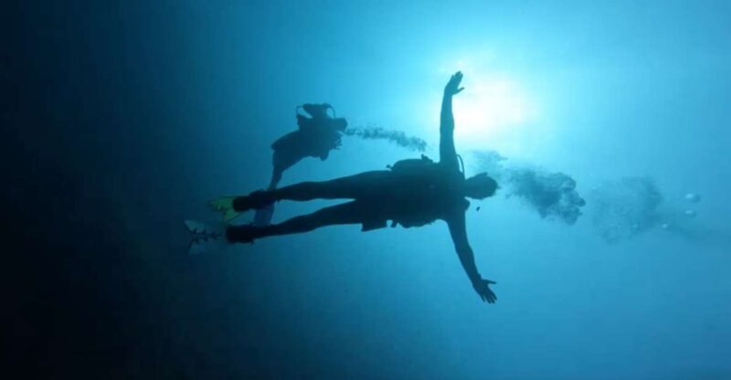 Scuba Diving - Dive for Certified Divers - Pricing and Reservations