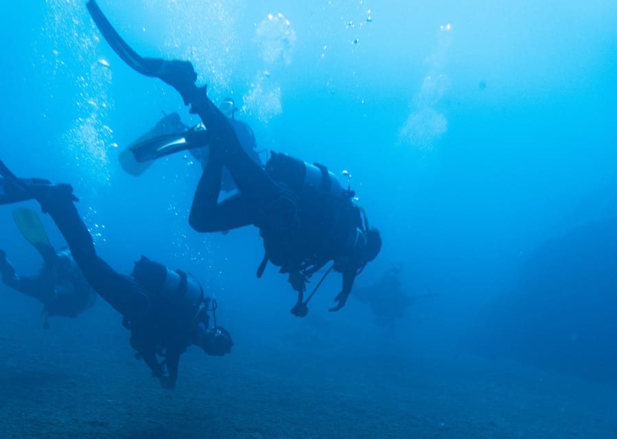 Scuba Diving Experience for Beginners In Greece - Booking and Pricing Details