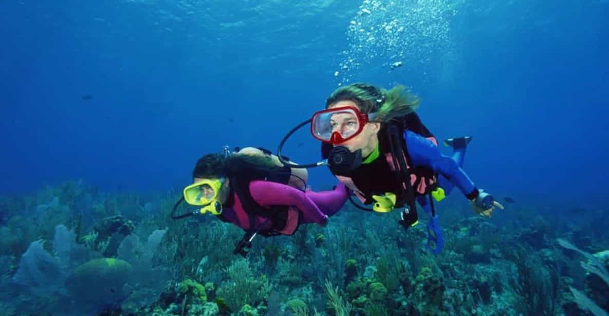 Scuba Diving Tour With Transfer From Alanya and City of Side - Experience Highlights