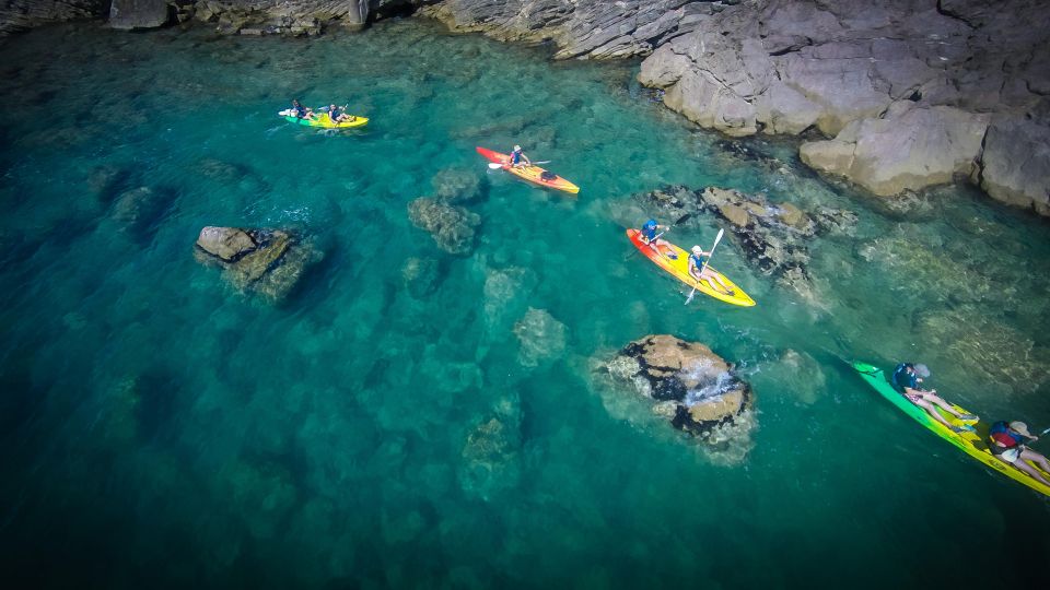 Sea Kayak Tour: Sète, the French Pearl of the Mediterranean - Activity Highlights