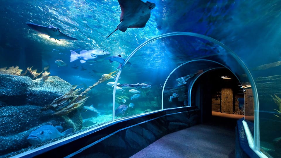 SEA LIFE Berlin Flashlight Tour - Booking Information