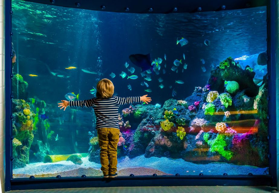 SEA LIFE Berlin Tickets - Experience Highlights