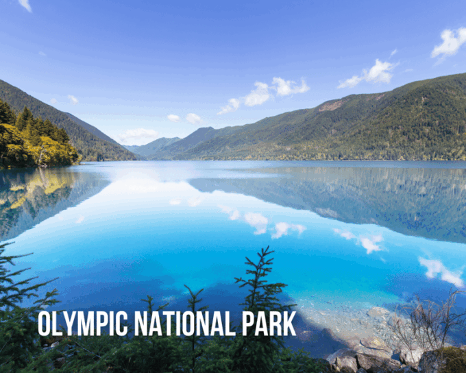 Seattle: Mount Rainier and Olympic Park Audio Guide Bundle - Highlights of Olympic National Park