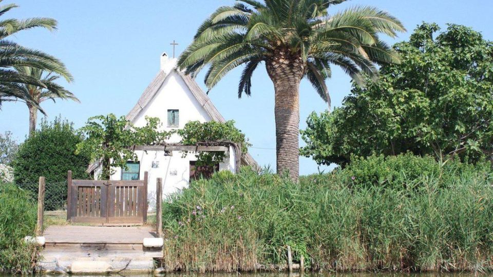 See Albufera Lake +City of Arts and Sciences on a Bike Tour - Tour Highlights