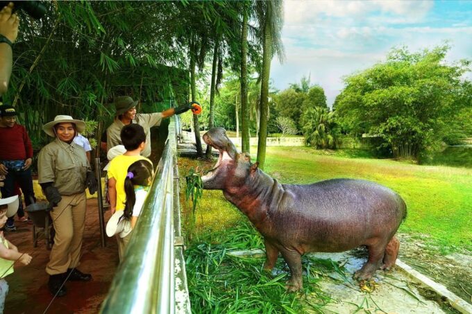 Selangor: Paya Indah Discovery Wetlands at Gamuda Cove - Wildlife Spotting Opportunities