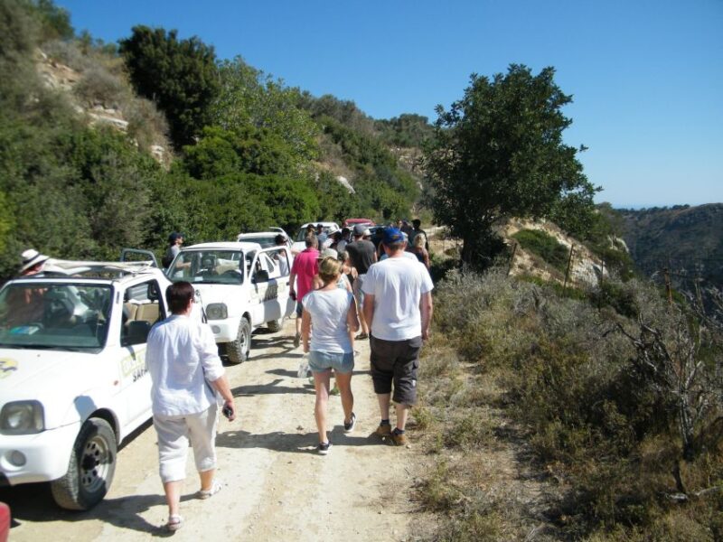 Self-Drive Jeep Safari to South Coast, Palm Beach & Canyons - Experience Highlights