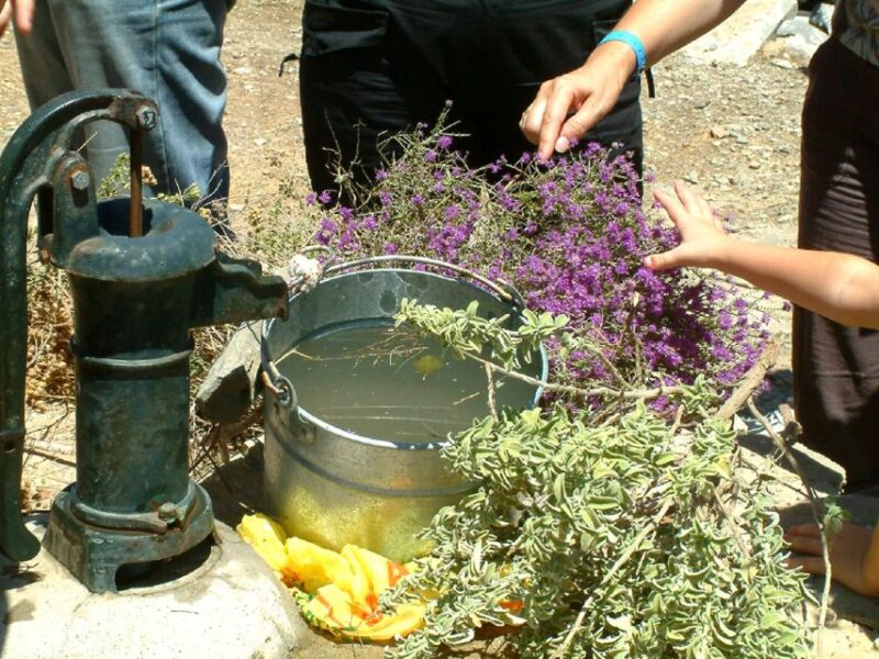 Self-Drive Jeeptour to Thripti Mountains and Small Villages - Booking Information