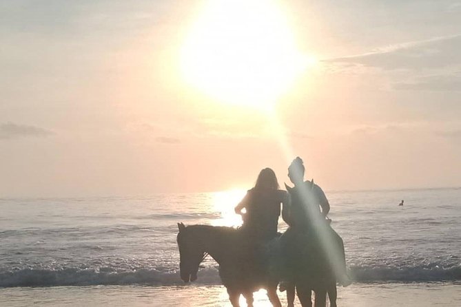 Seminyak Beach Horse Riding - Accessibility Features