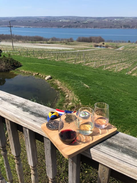 Seneca Lake: Wine Tasting Tour With Lunch - Itinerary Details