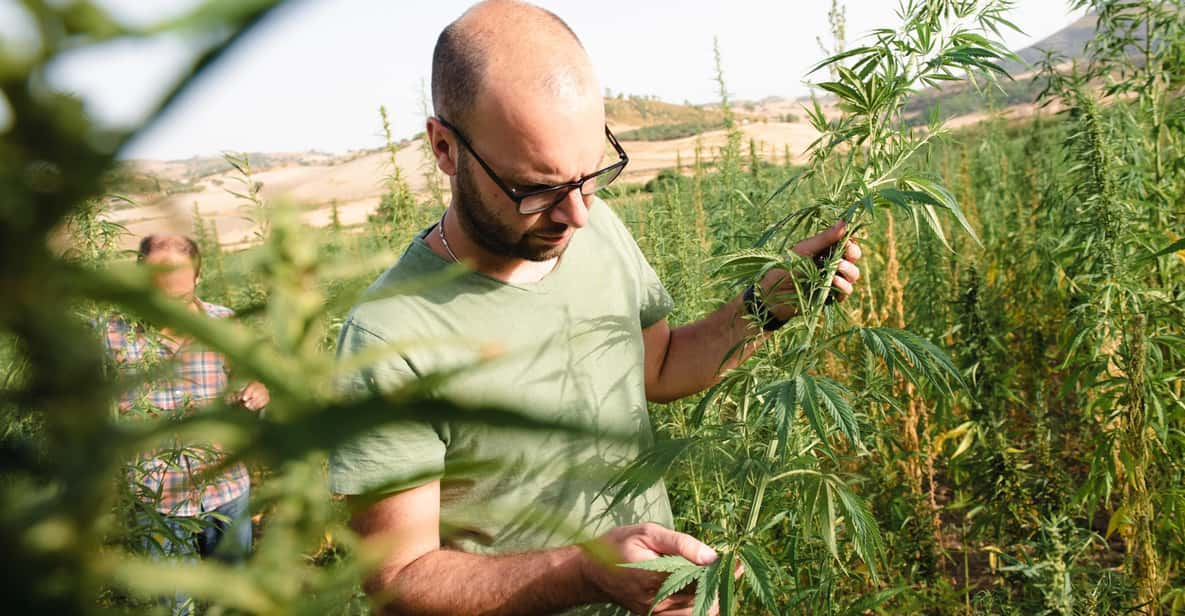 Sensory Walk With Lunch in the Caltagirone Countryside - Highlights of the Sensory Walk