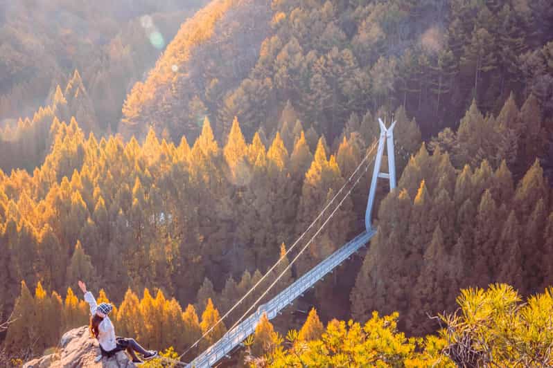 Seoul: Autumn Jangtaesan Recreational Forest One Day Tour - Cancellation and Meeting Information