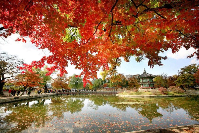 Seoul: Hanbok, Gyeongbokgung and Tongin Market Walking Tour - Itinerary Highlights