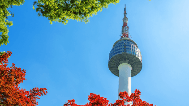 Seoul Korea 7 Day Family Tour Lotte World Everland DMZ - Itinerary Highlights