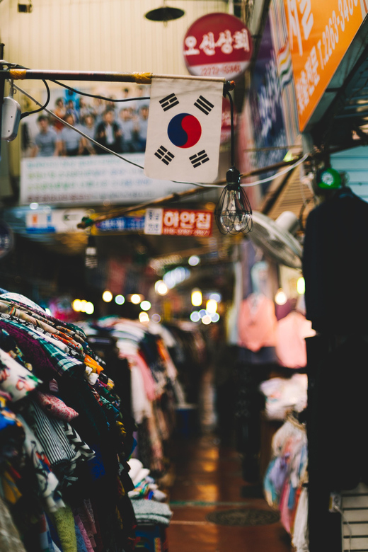 Seoul: Private Tour in French With a Korean Guide - Experience Personalization