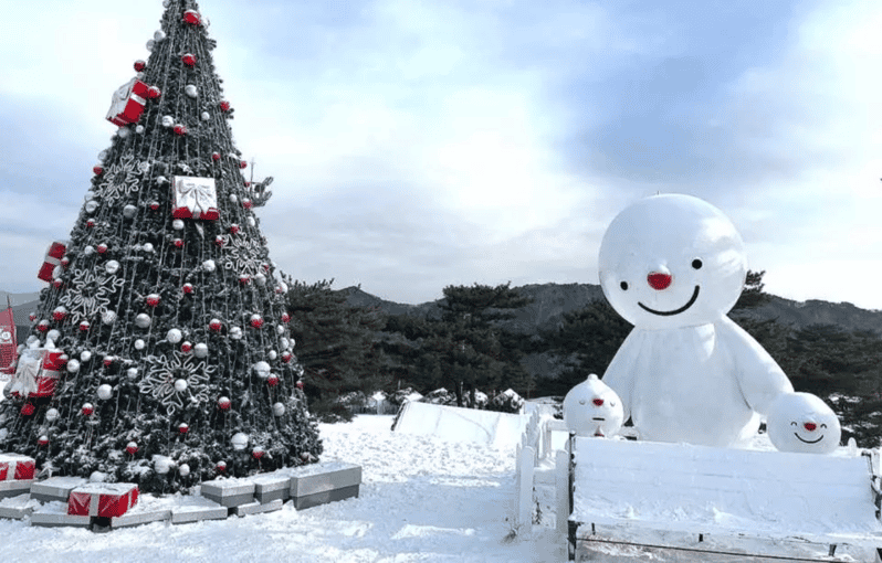 Seoul: Snowyland in Vivaldi Park With Nami or Alpaca - Pricing and Cancelation