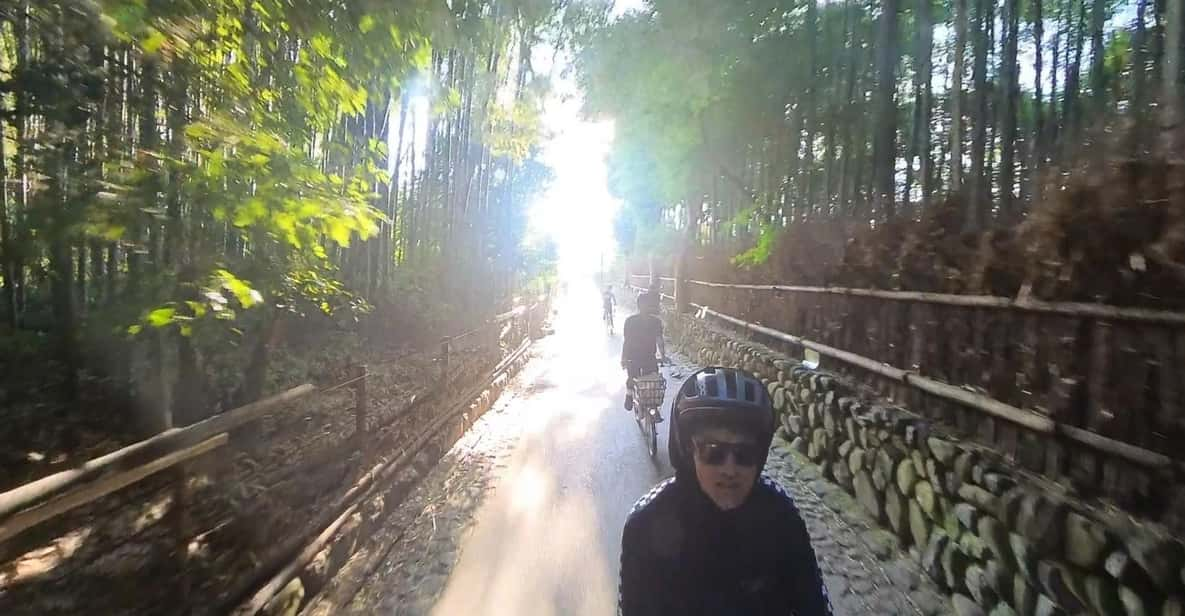 Serene Cycling in Arashiyama: Electric Bike Tour With Guide - Iconic Sites to Visit