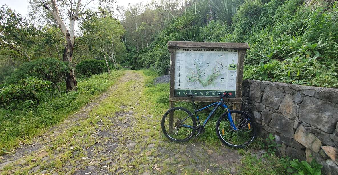 Serra Malagueta: Bike Adventure on The Natural Park - Tour Details