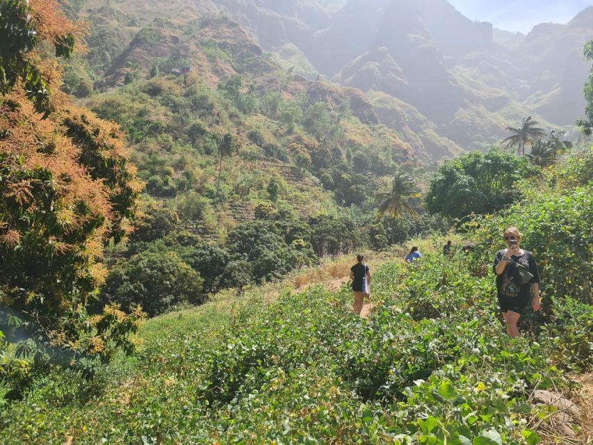 Serra Malagueta-Ribeira Principal: Hiking in a Unique Place - Booking Information