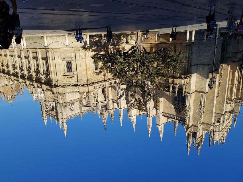 Seville: City Center Walking Tour - Highlights of the Tour