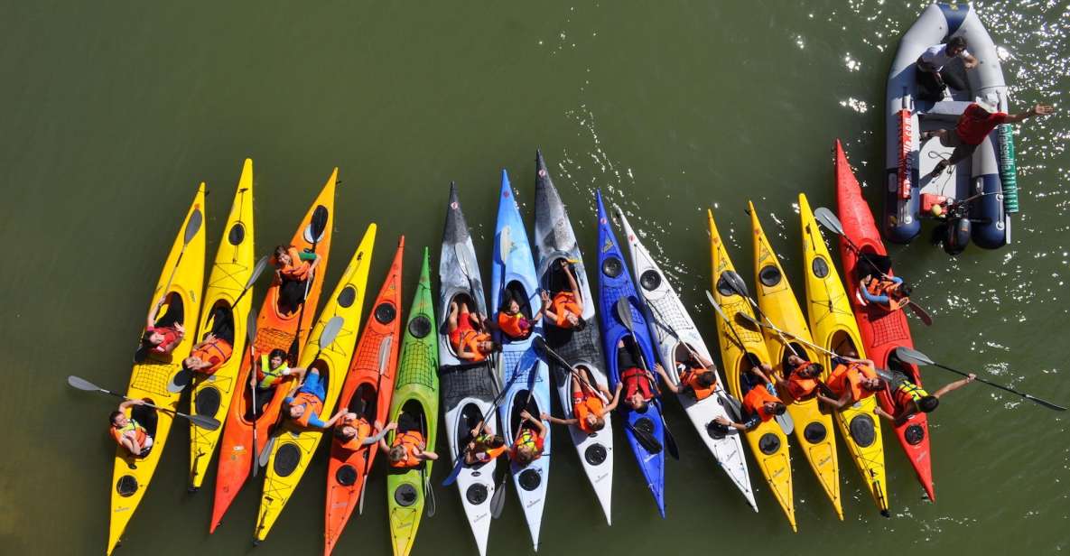 Seville: Guadalquivir River Kayak Tour or Kayak Rental - Booking Information