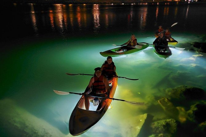 Sharkeys Glass Bottom Fish Feeding LED Night Tour St. Pete Beach - Key Highlights of the Tour