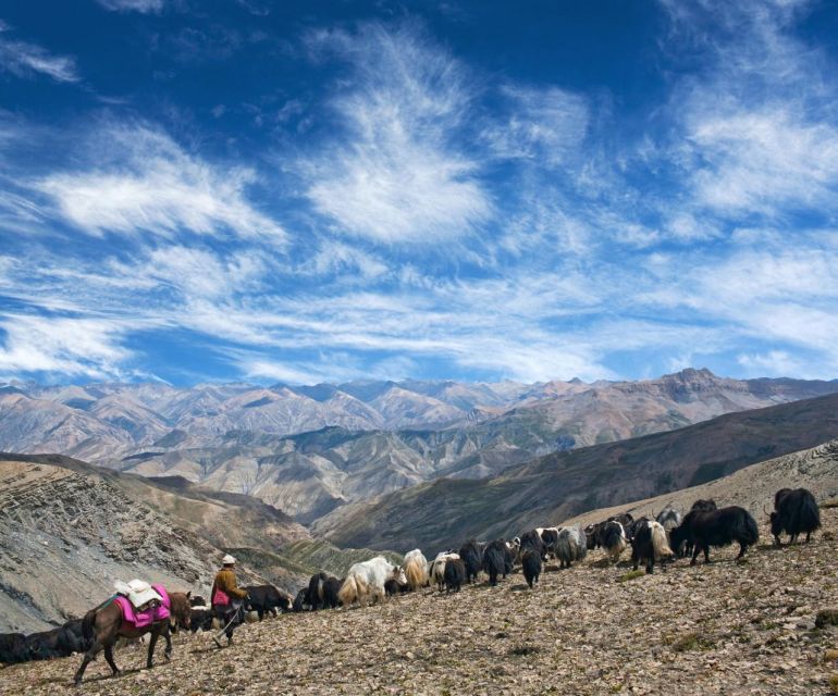 Shey Phoksundo Lake Trek - Detailed Itinerary