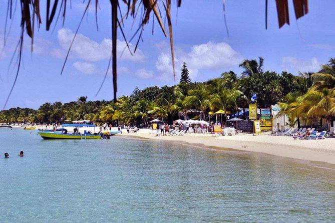 Shore Excursion: Jungle Top Wildlife Eco-Park Day Pass - Personalized and Flexible Itinerary