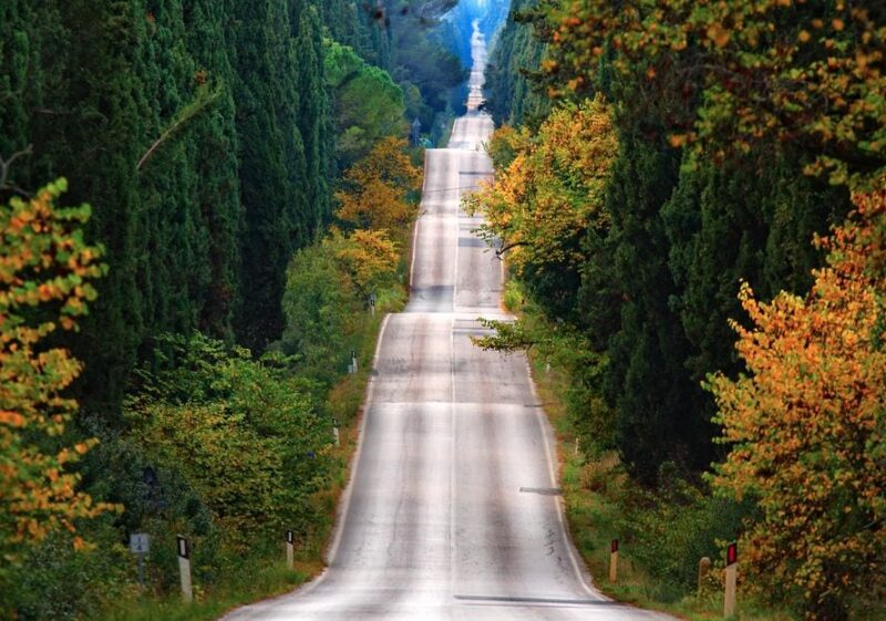 Shore Trip From La Spezia: Pisa,Lucca,Lunch & Tasting Winery - Itinerary Highlights