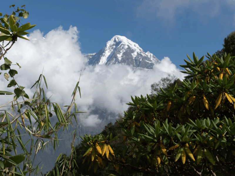 Short Mardi Himal Trek: a Perfect 5-Day Escape From Pokhara - Safety and Suitability