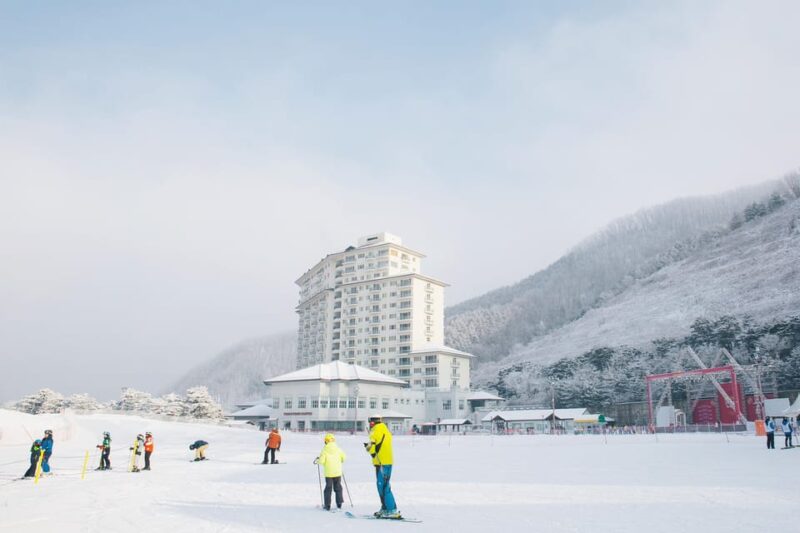 Shuttle Bus to Elysian Ski Resort(Only Transportation) - Shuttle Bus Reservation